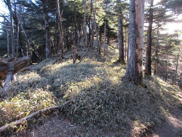 右が正規の奥秩父主脈縦走路登山ルート