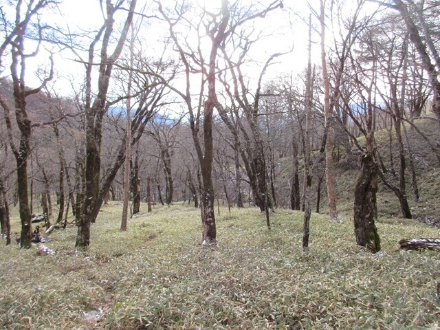 西御殿岩と黒槐山下山中もチラチラと粉雪が舞っていた様子