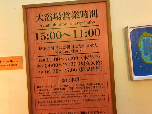 下田大和館の温泉