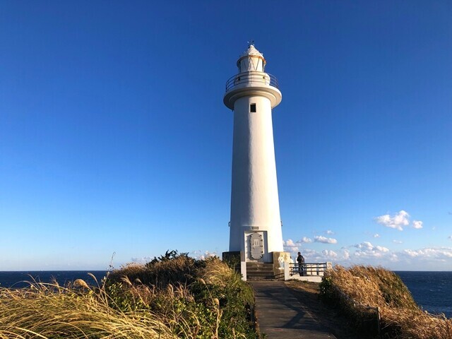 爪木崎水仙祭り爪木崎灯台