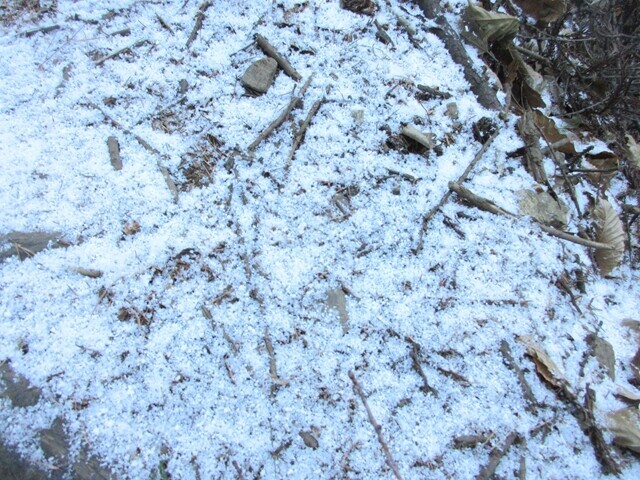 二子山、武川岳への登山ルートの積雪具合