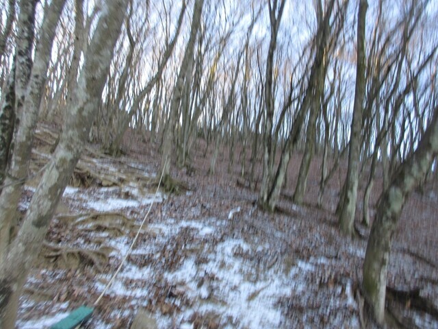 二子山の山頂直下登山道の様子