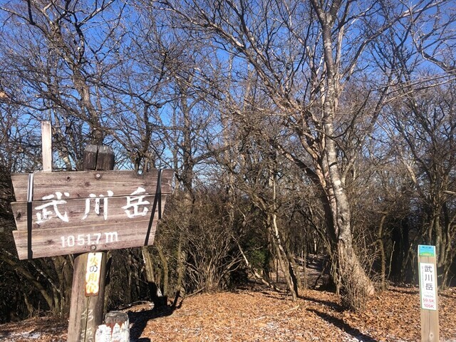 武川岳の山頂