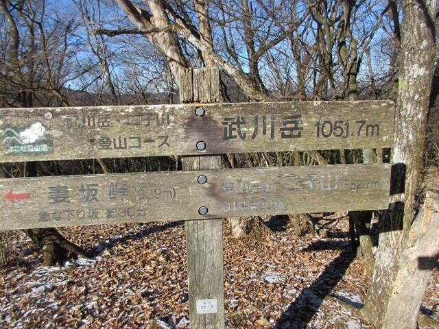 武川岳は「たけがわだけ」と読む