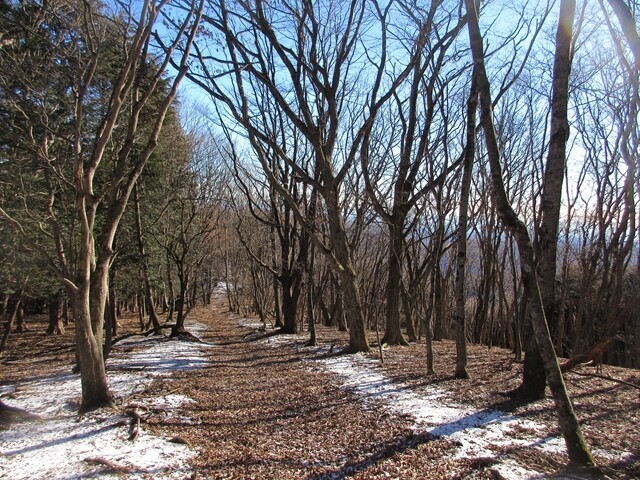 武川岳の山頂から名栗げんきプラザへの登山ルートの様子