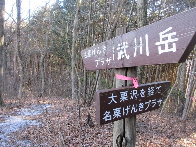 武川岳から名栗げんきプラザの道標
