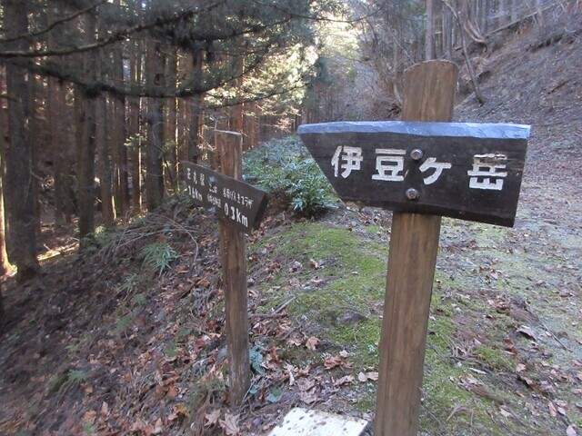 伊豆ヶ岳登山口