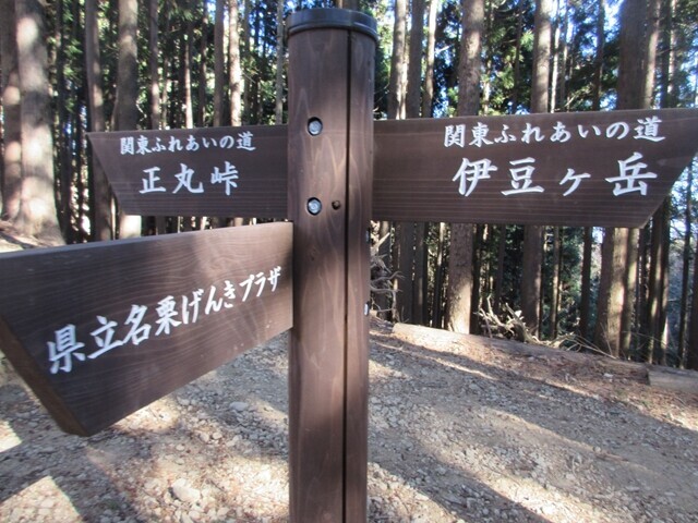 伊豆ヶ岳関東ふれあいの道