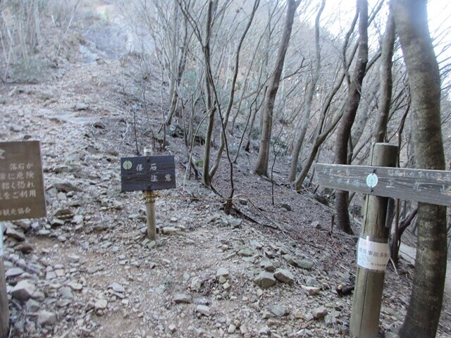 伊豆ヶ岳の男坂ルートと女坂ルートの分岐