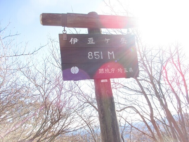 伊豆ヶ岳の標高は８５１ｍ