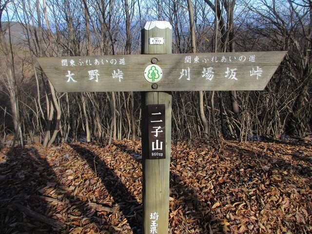 二子山