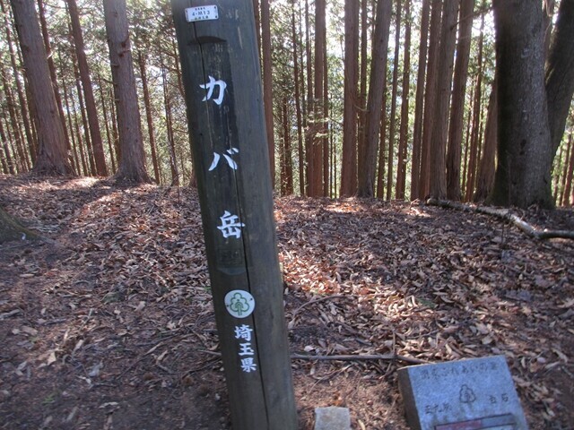 カバ岳