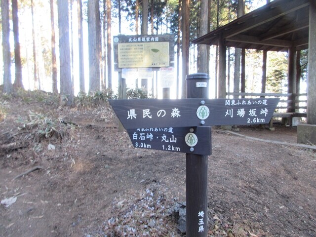 苅場坂峠と丸山への分岐