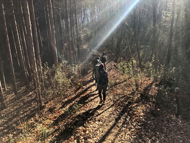 愉快仲間たちと長瀞アルプス登山の様子
