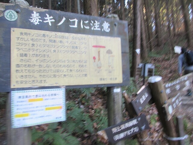 宝登山毒キノコの看板