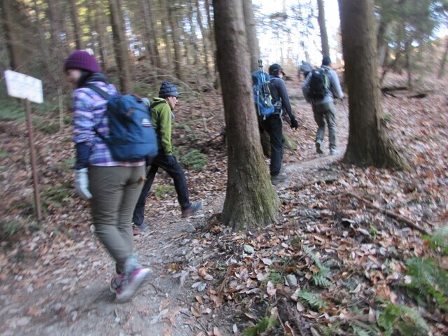 長瀞アルプスを登山する登山仲間の様子