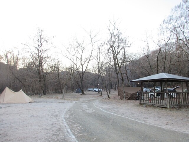 武甲キャンプ場のキャンプサイトの様子
