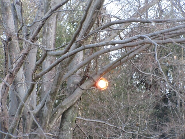 武甲キャンプ場のライト