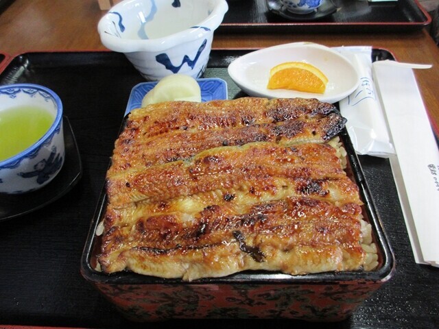 うなぎ吉見屋の鰻重大盛を食べてレビュー開始の様子