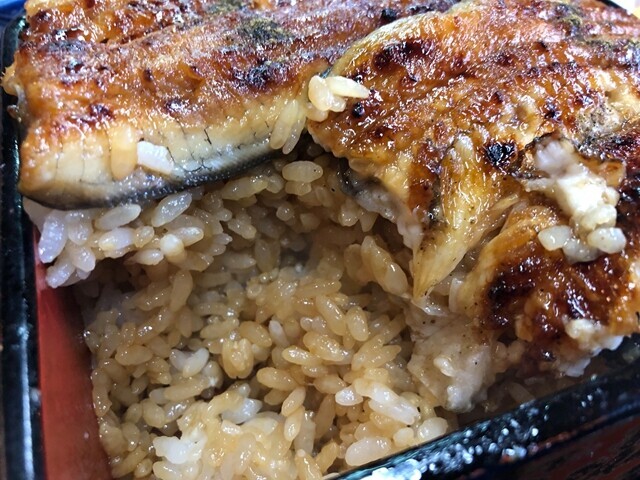 うなぎ吉見屋の鰻重を食べてボリュームをレビューの様子