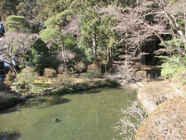 宝登山神社の境内にある大きな池