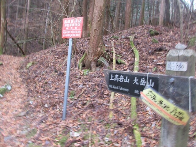 ロックガーデンから高岩山への分岐地点