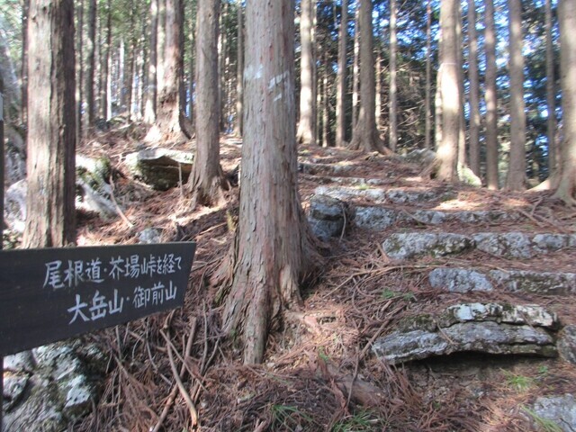 高岩山の山頂から大岳山、御前山へ登山の様子