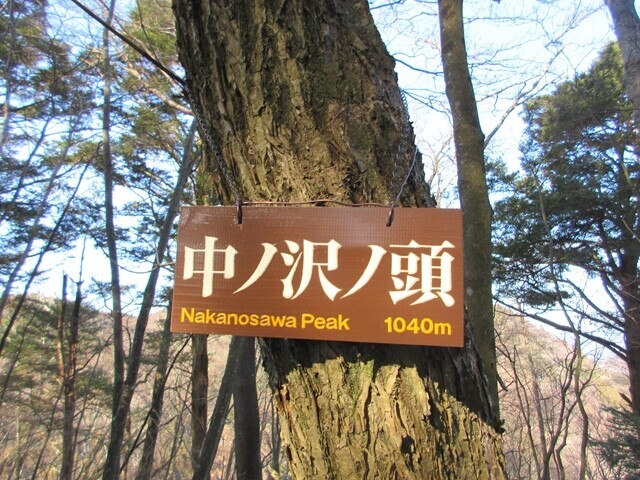 中ノ沢ノ頭