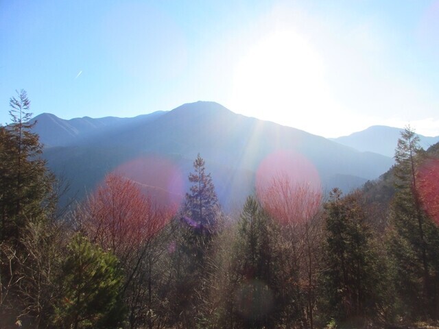 鳩打峠からの毛無山方面の景色