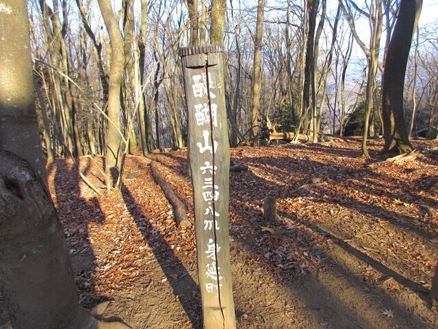 身延町スカイツリーになります後醍醐の山頂