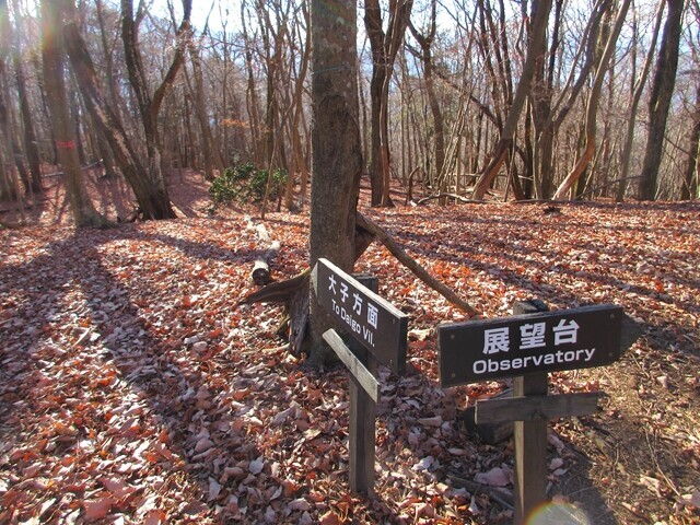 醍醐山展望と西山の分岐