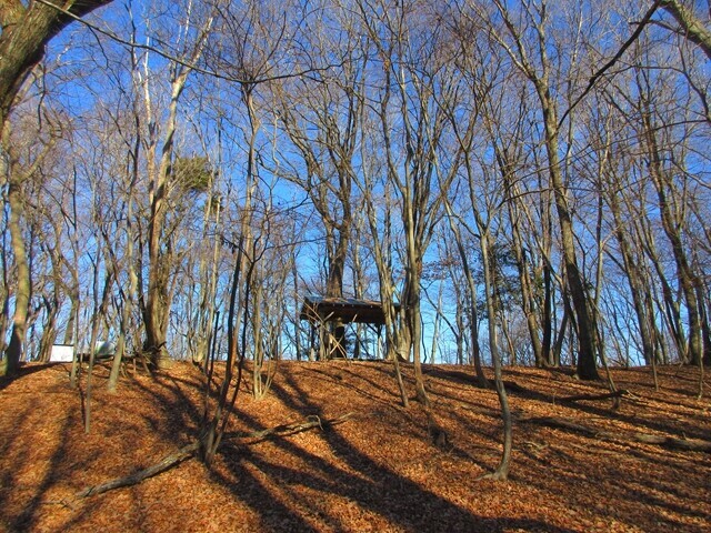 醍醐山と西山分岐地点