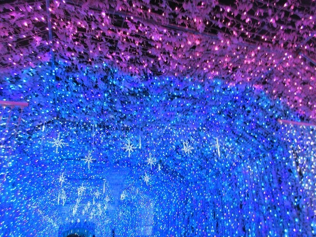 とても長い時之栖のイルミネーションのトンネル