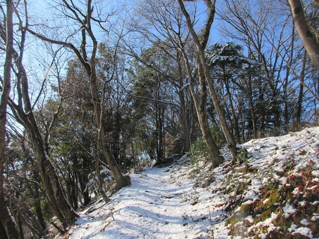 丹沢三峰ルートから丹沢山を目指して登山スタートの様子
