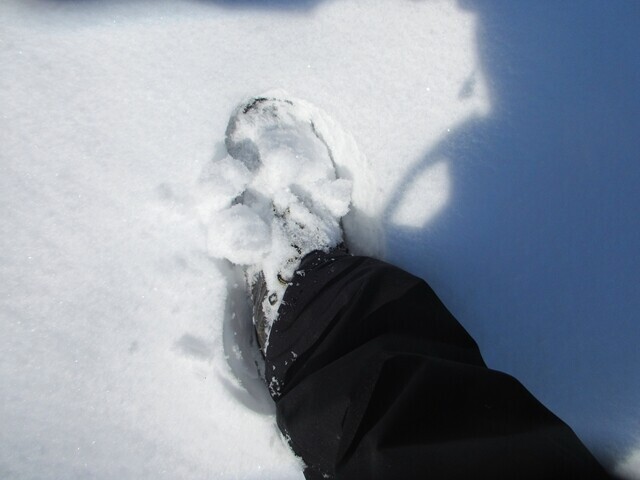 丹沢三峰ルートの序盤の雪の量