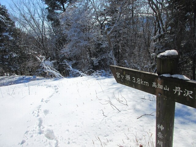 高畑山の山頂