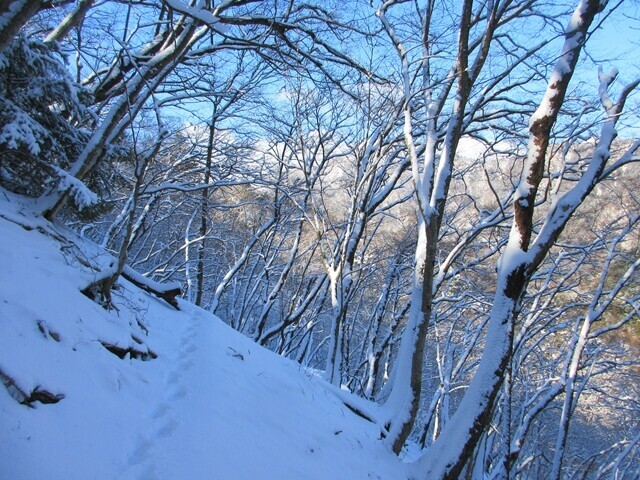高畑山の山頂から丹沢三峰ルートに合流の様子