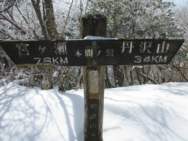 丹沢三峰ルートに鎮座する本間ノ頭