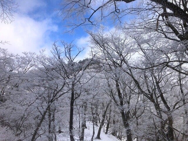 丹沢山の山頂の積雪