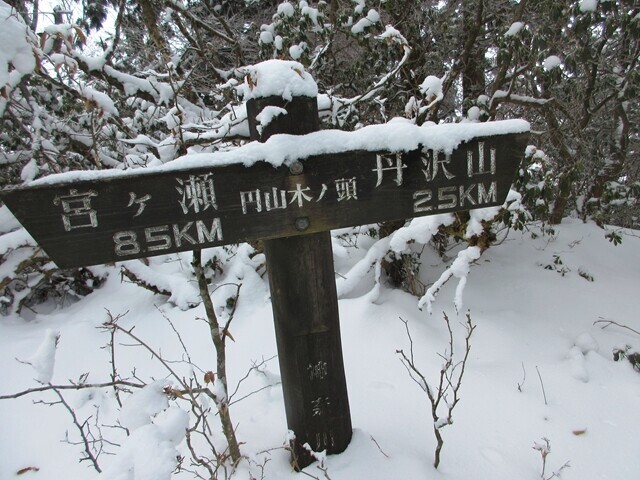 丹沢三峰の一角である円山木ノ頭