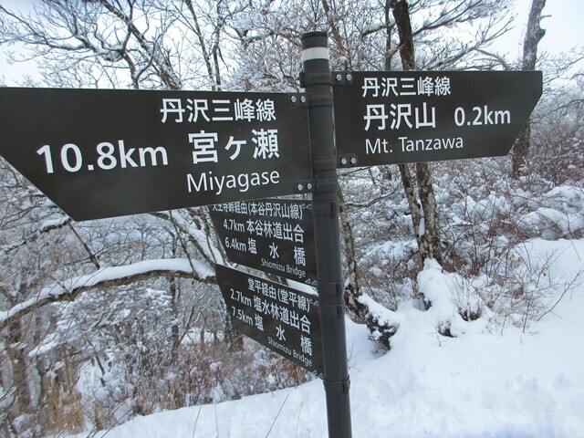 丹沢三峰ルートのゴールが見えてきた瞬間