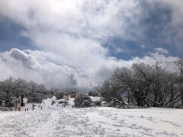 丹沢山の山頂も凄い雪