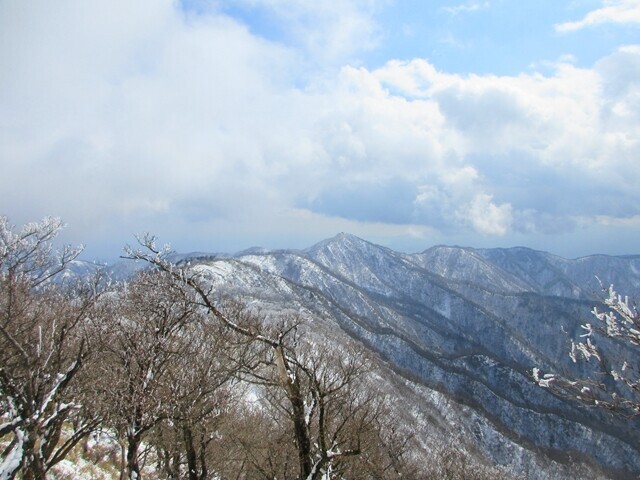 丹沢山の樹氷の森から眺める塔ノ岳遠望