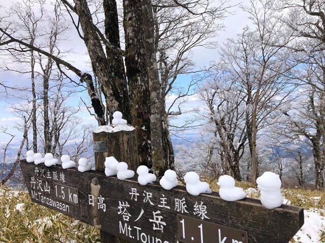 丹沢三峰ルートのアヒルの彫刻