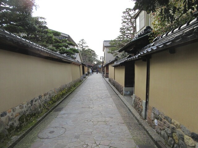 武家屋敷跡の土塁（壁）