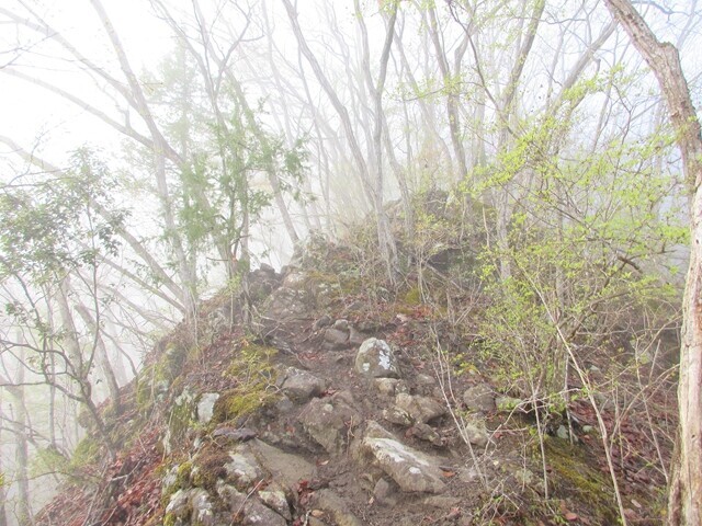 御前山登山ルートの詳細