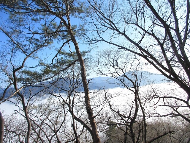 御前山登山ルートからの雲海の景色