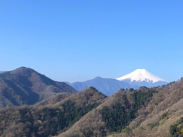 御前山の山頂付近からの富士山景色