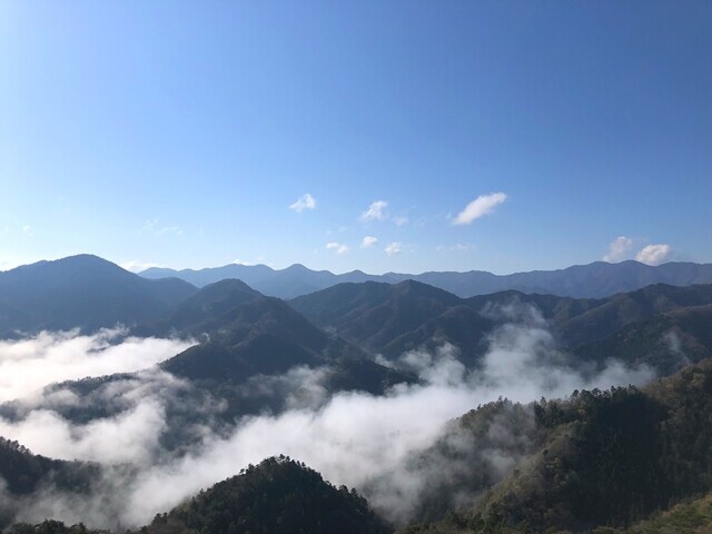 高川山方面の雲海の様子