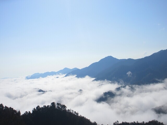 高川山方面の雲海を眺めながら登山している様子